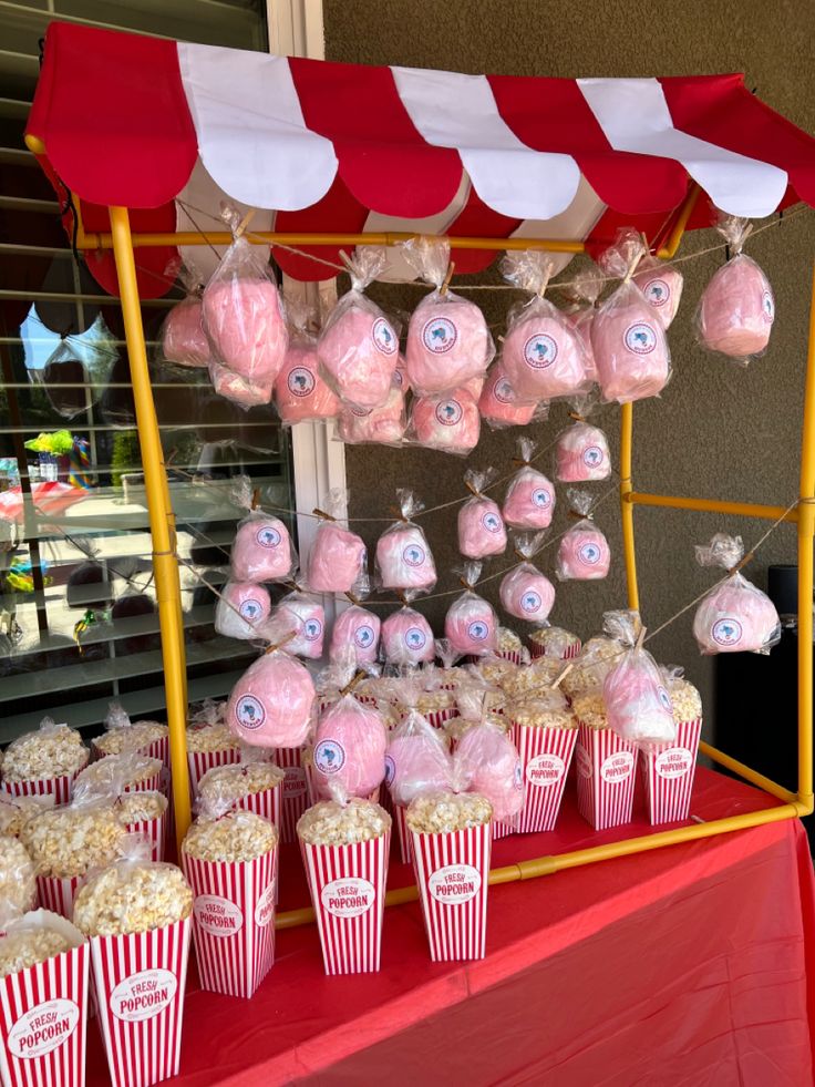 Gourmet Warm Popcorn and Cotton Candy Carnival Cart Pushkar